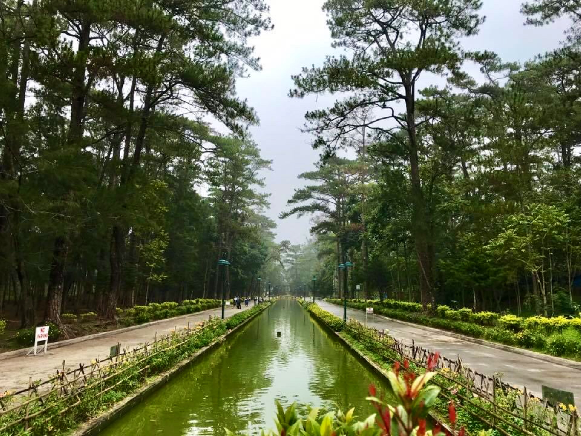 Burnham Park — main view of Burnham Lagoon with swan boats and pine trees in Baguio, Benguet, Philippines