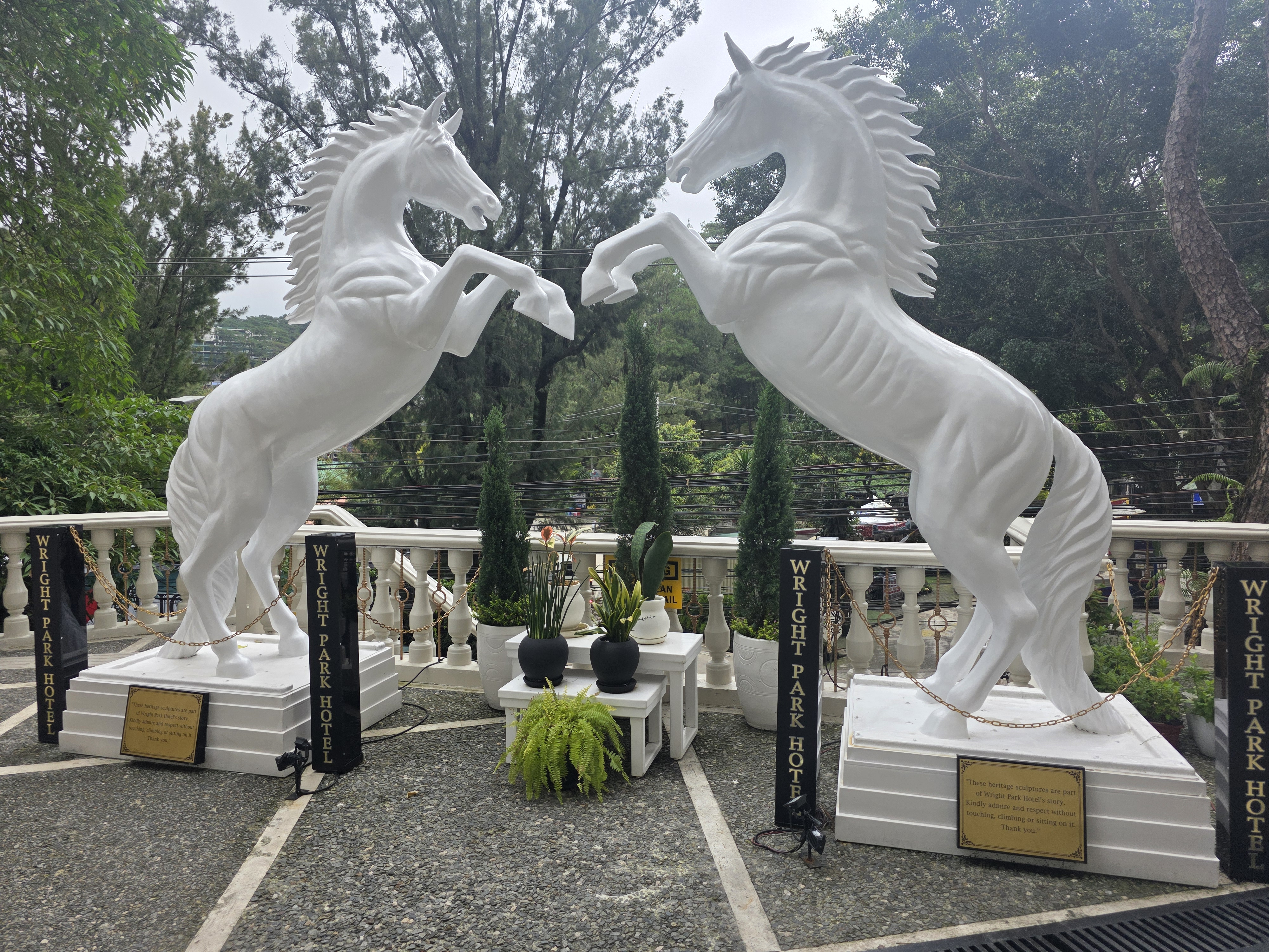 Burnham Park Baguio — larawan 11 sa 18: tanawin ng parke, lagoon, rose garden, pine trees, at mga aktibidad