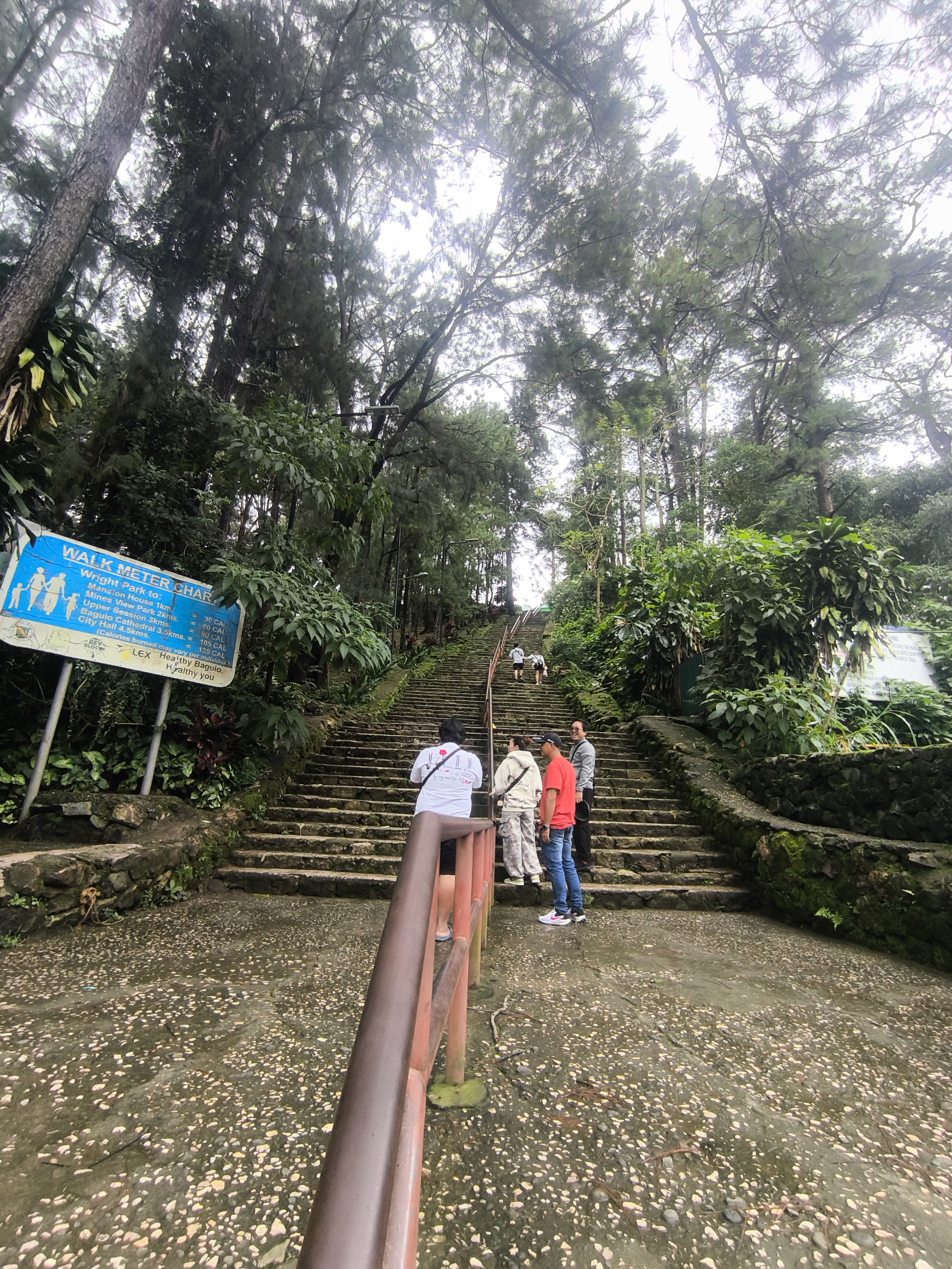 Burnham Park Baguio — larawan 12 sa 18: tanawin ng parke, lagoon, rose garden, pine trees, at mga aktibidad