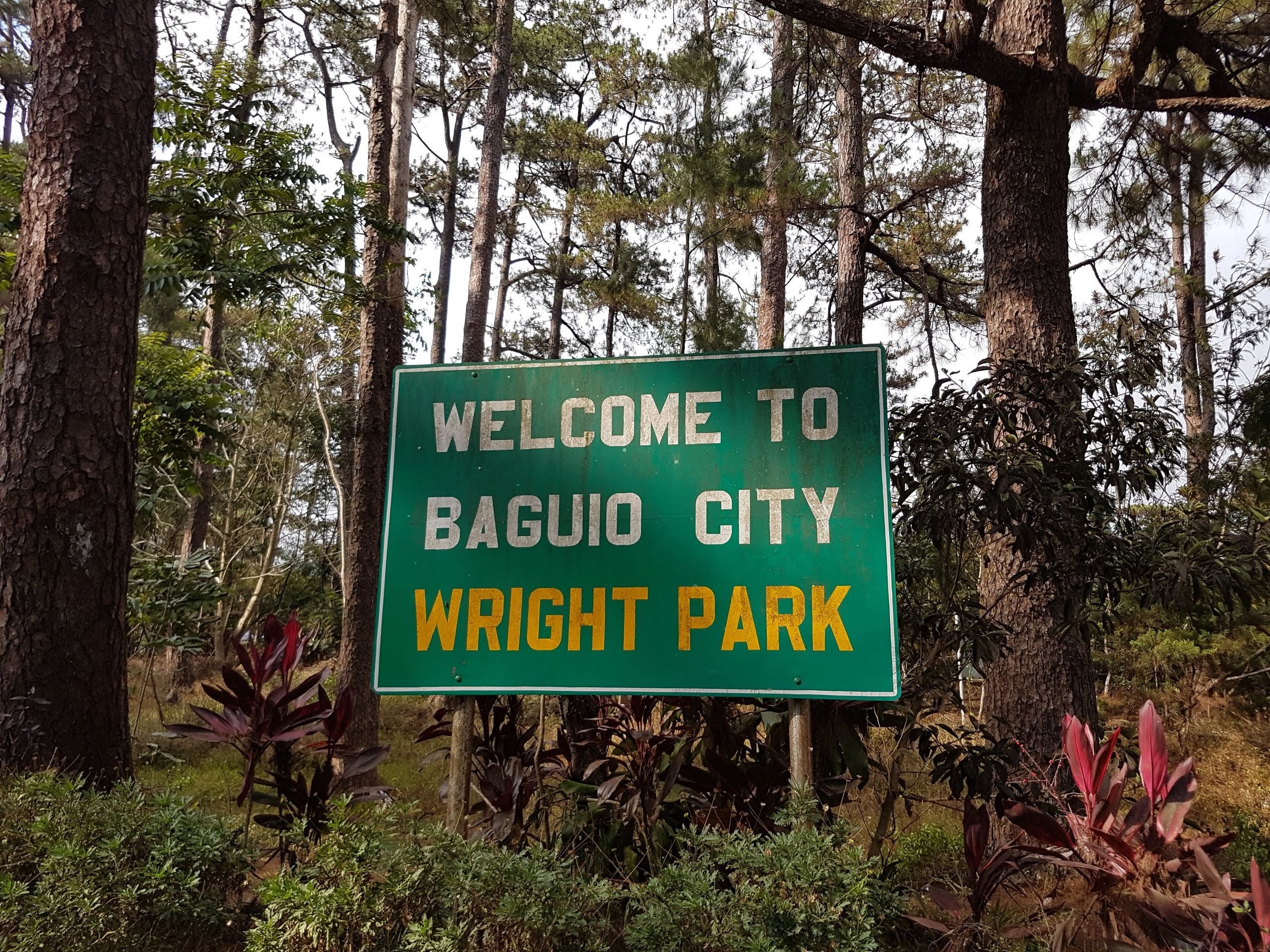 Burnham Park Baguio — larawan 13 sa 18: tanawin ng parke, lagoon, rose garden, pine trees, at mga aktibidad