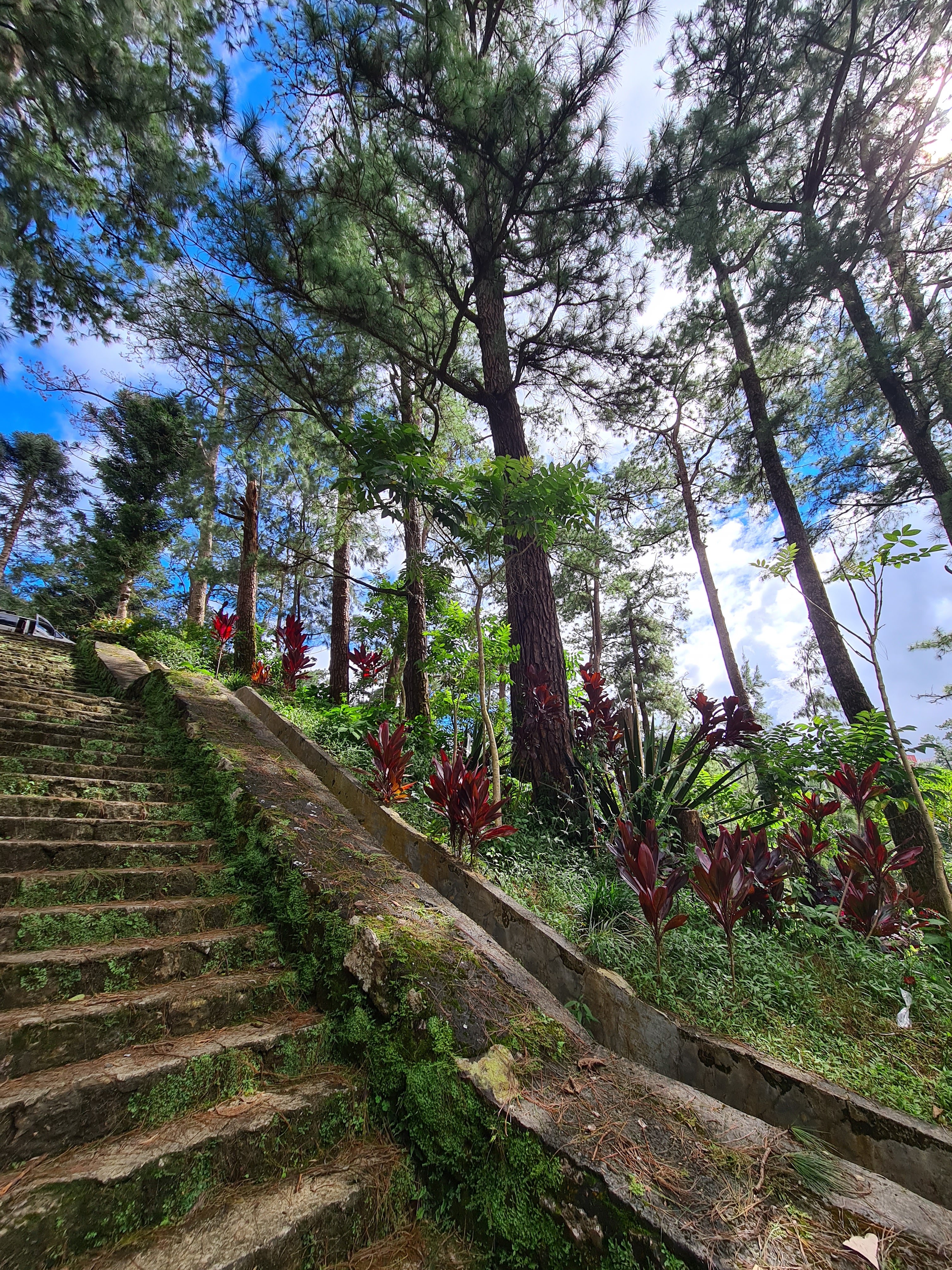 Burnham Park Baguio — larawan 15 sa 18: tanawin ng parke, lagoon, rose garden, pine trees, at mga aktibidad