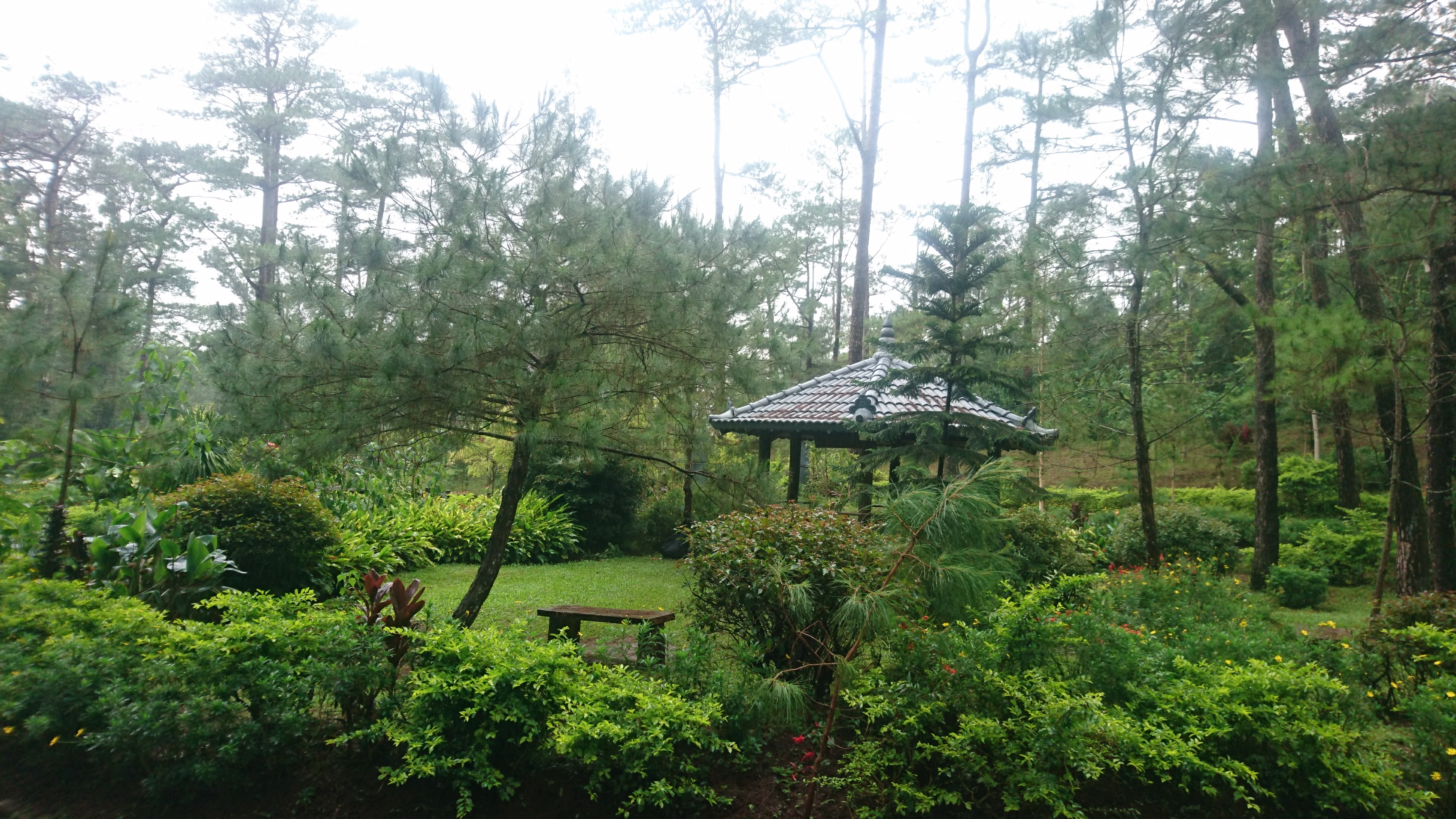 Burnham Park Baguio — larawan 17 sa 18: tanawin ng parke, lagoon, rose garden, pine trees, at mga aktibidad
