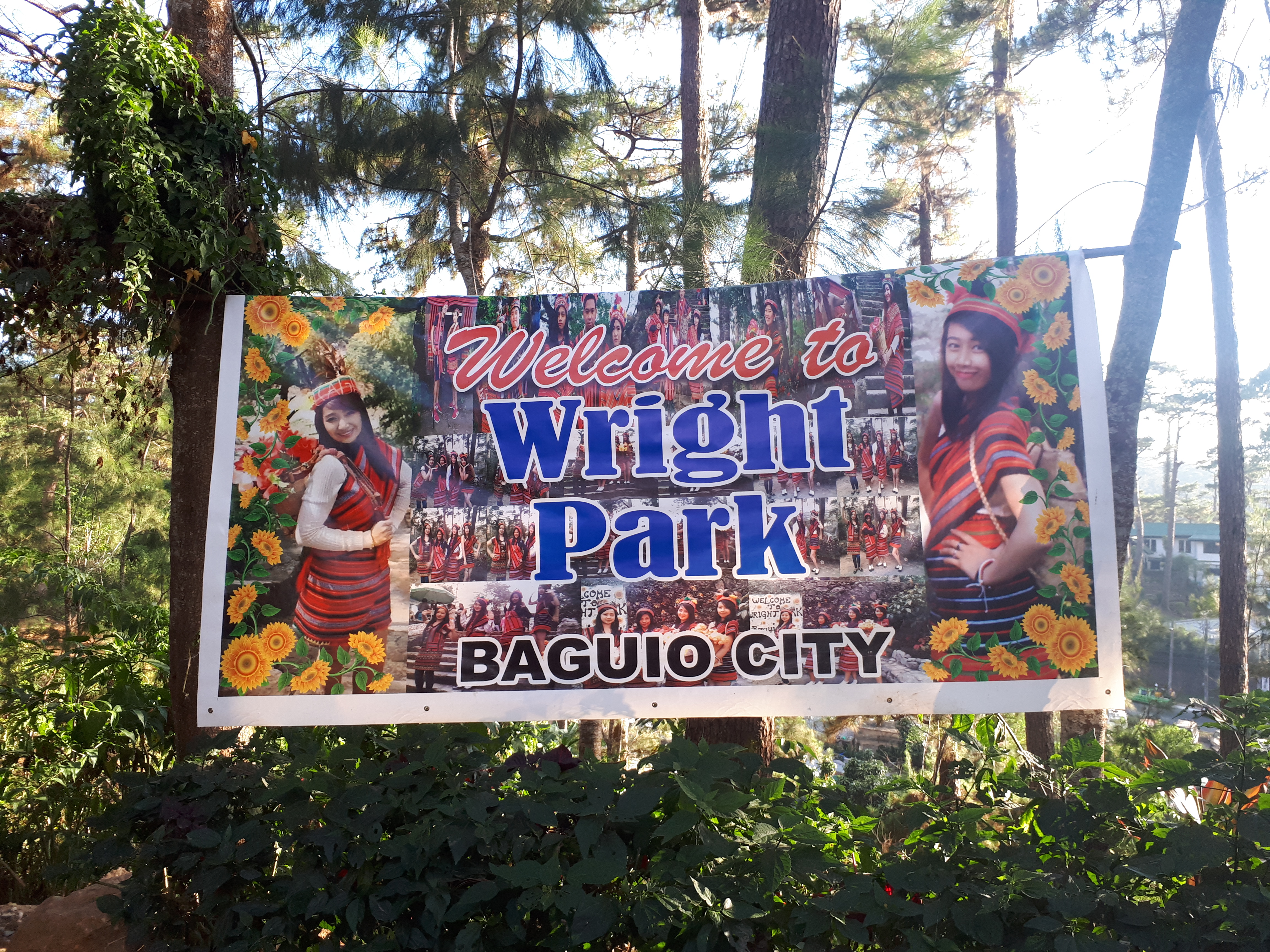 Burnham Park Baguio — larawan 9 sa 18: tanawin ng parke, lagoon, rose garden, pine trees, at mga aktibidad